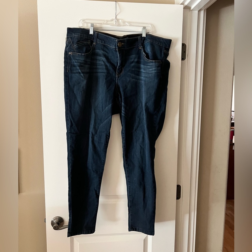 Wit & Wisdom plus size skinny jeans (22)